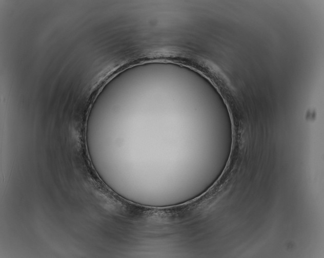 X0000090751217200708031600