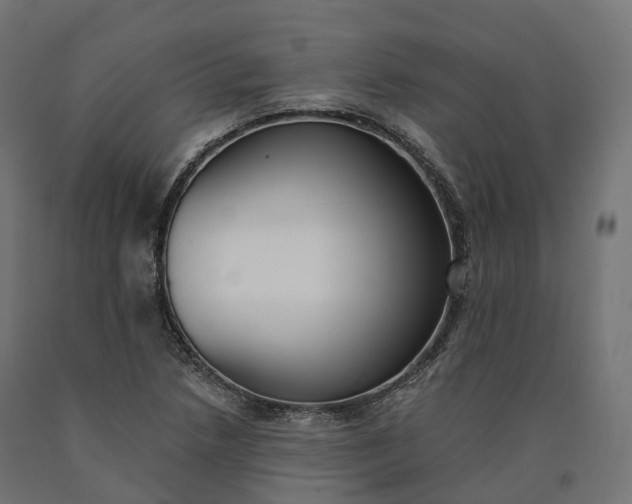 X0000090751218200708031600