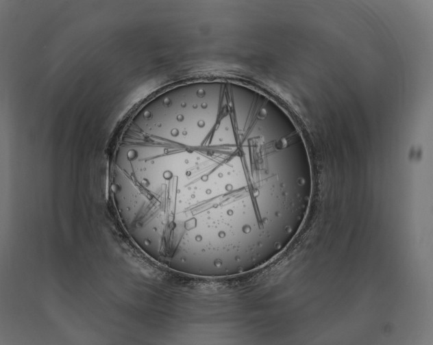 X0000090751219200708031600