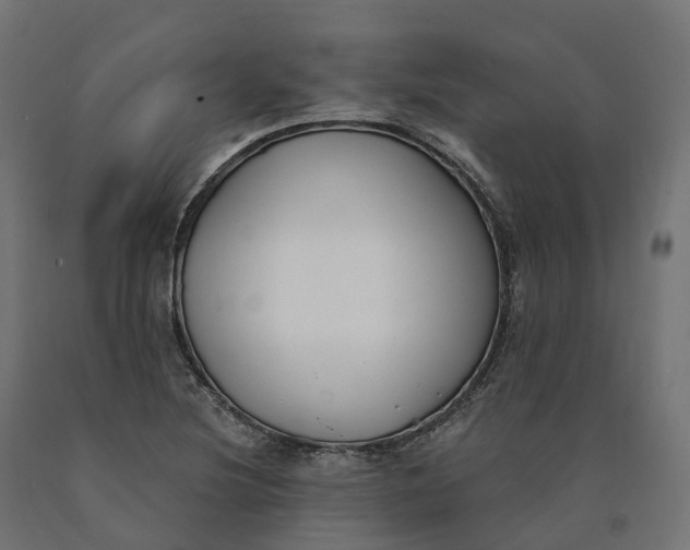 X0000090751220200708031600