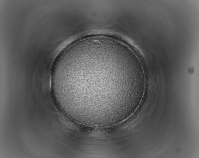 X0000090751221200708031600