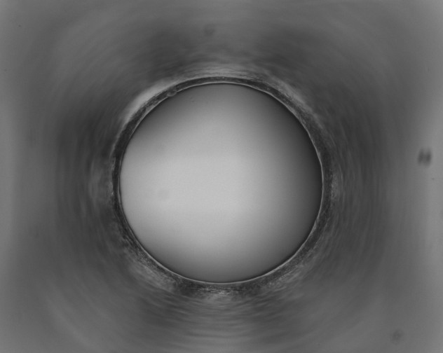 X0000090751222200708031600