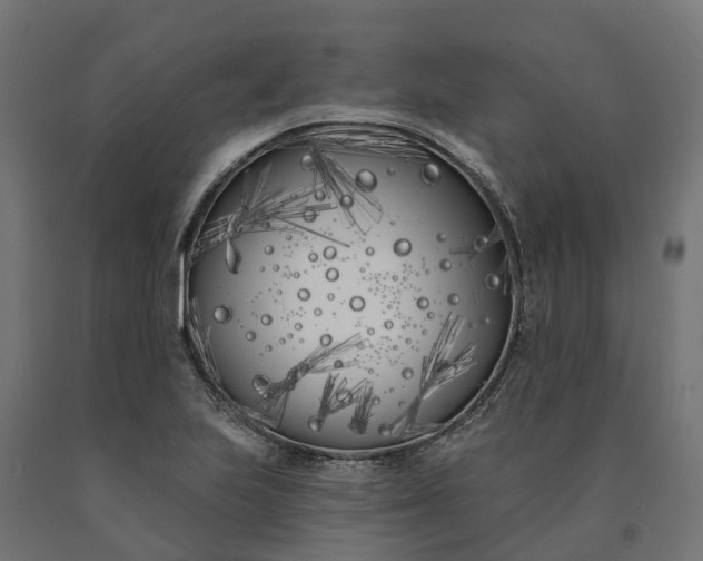 X0000090751223200708031600