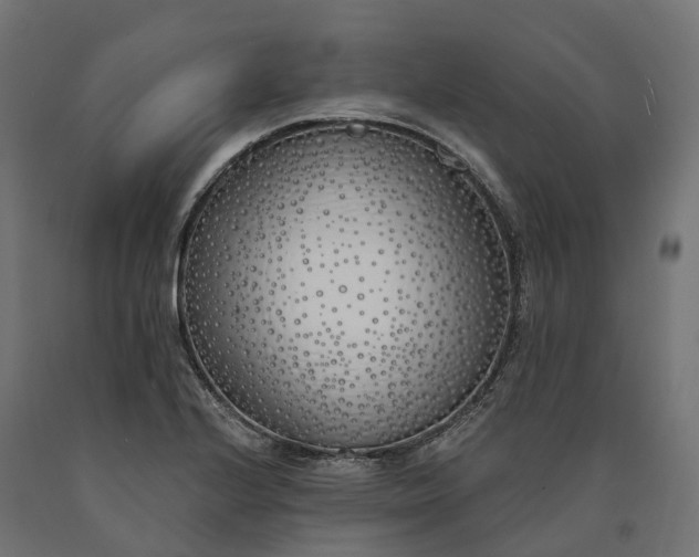 X0000090751224200708031600