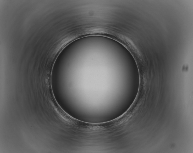 X0000090751225200708031600