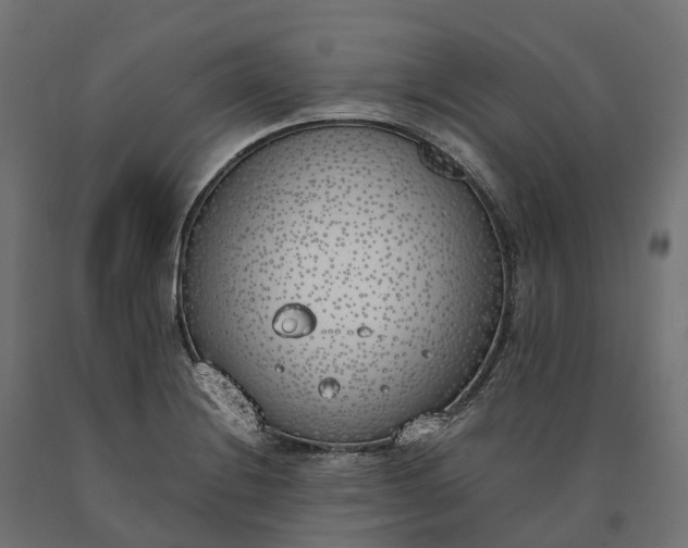 X0000090751228200708031600