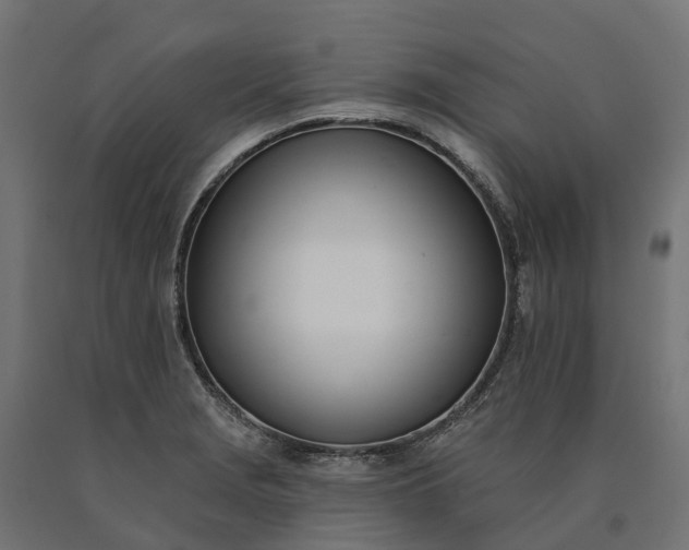 X0000090751229200708031600