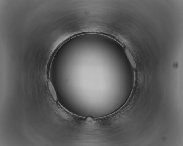 X0000090751230200708031600