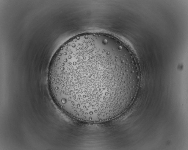 X0000090751231200708031600