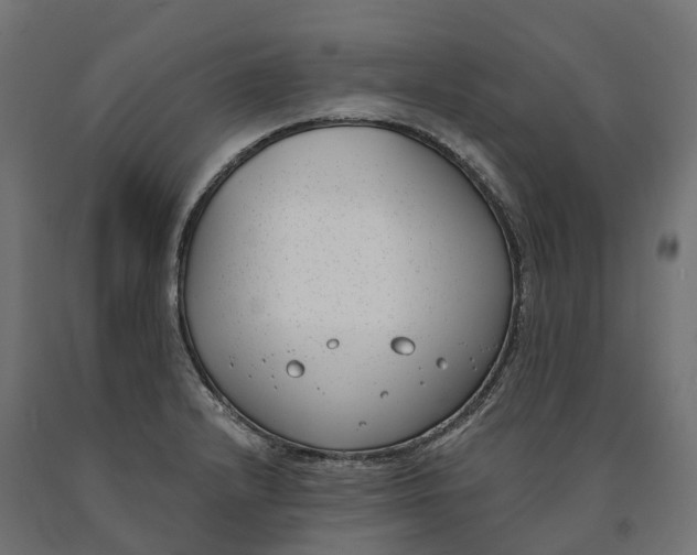 X0000090751232200708031600