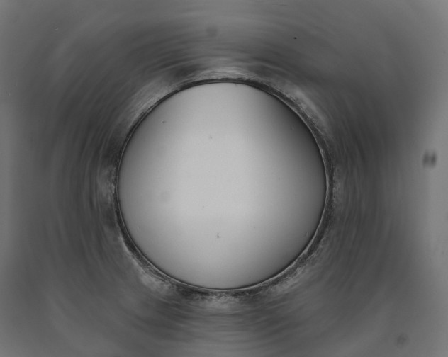 X0000090751233200708031600