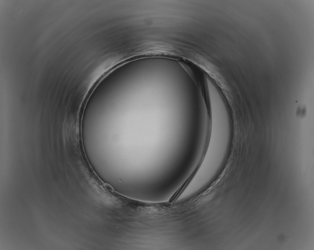 X0000090751234200708031600