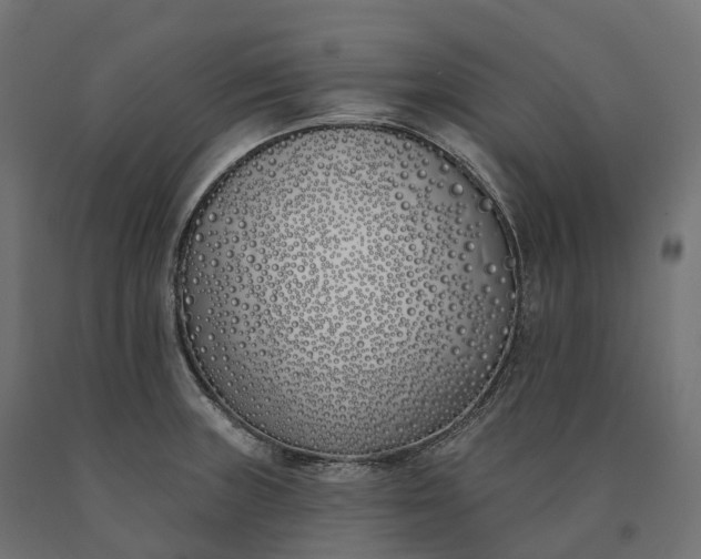 X0000090751235200708031600