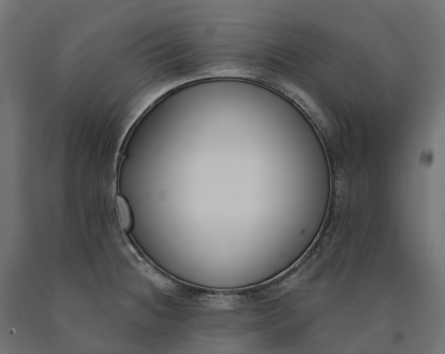 X0000090751236200708031600