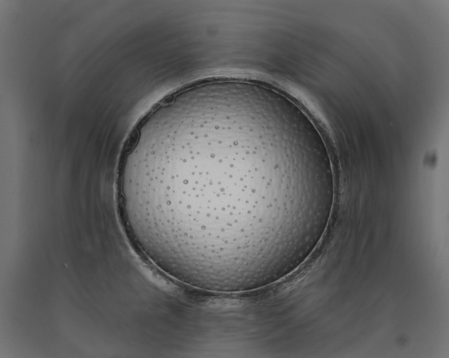 X0000090751237200708031600