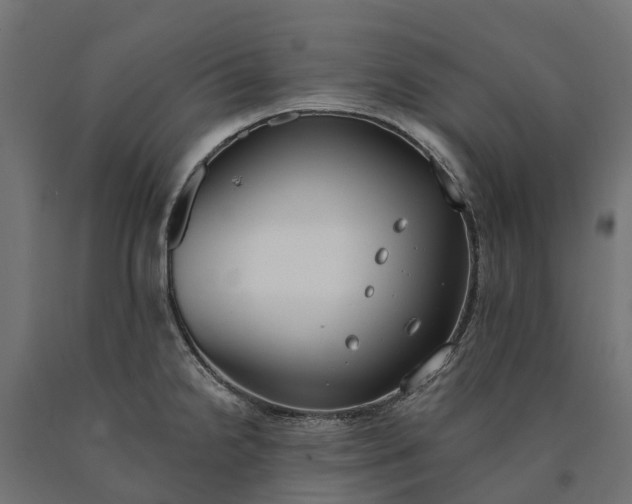 X0000090751238200708031600