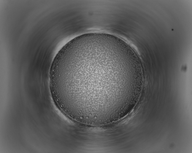 X0000090751239200708031600