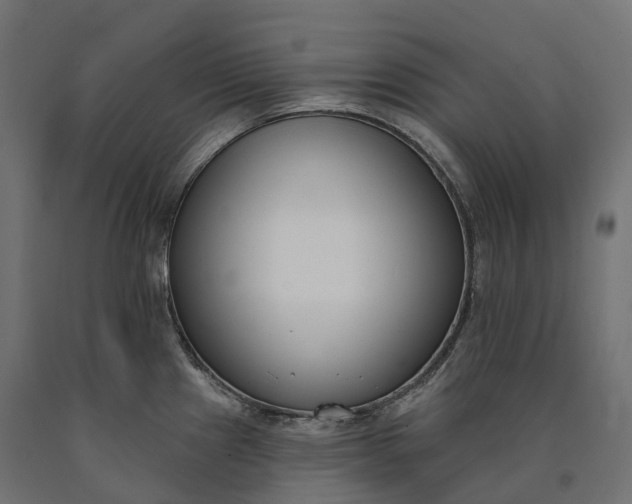 X0000090751241200708031601