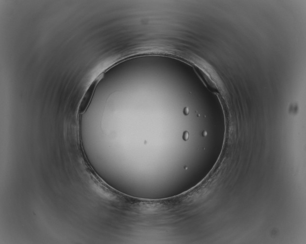 X0000090751242200708031601