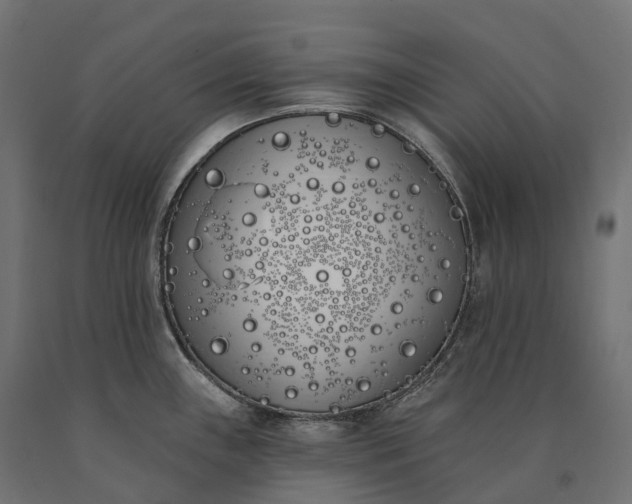 X0000090751243200708031601