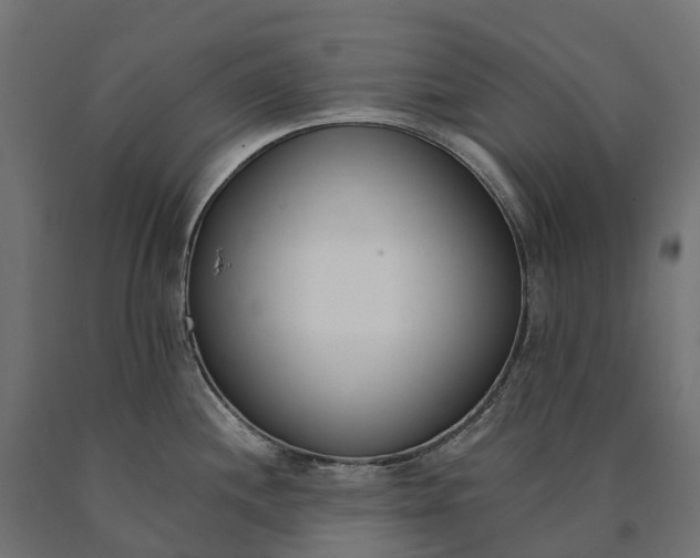 X0000090751244200708031601