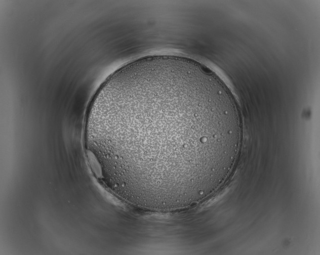 X0000090751245200708031601