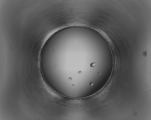 X0000090751246200708031601