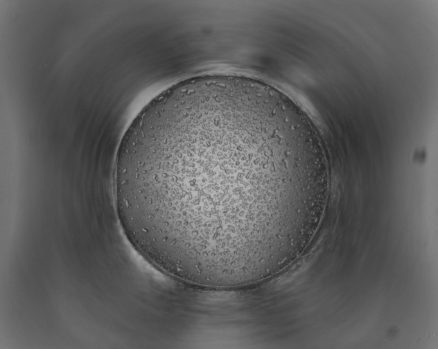 X0000090751247200708031601