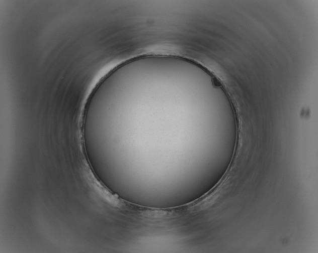 X0000090751248200708031601