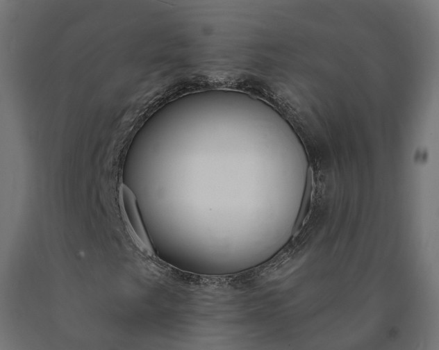 X0000090751249200708031600