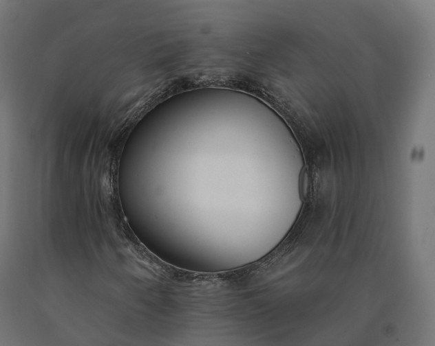 X0000090751250200708031600