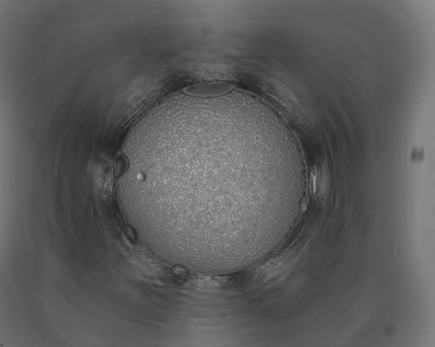 X0000090751251200708031600