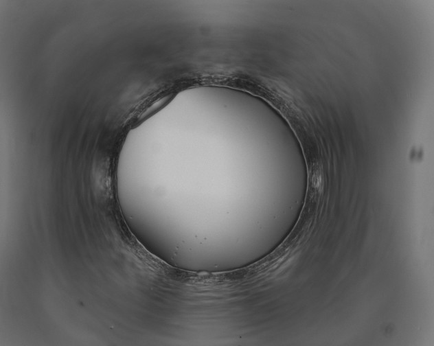 X0000090751252200708031600