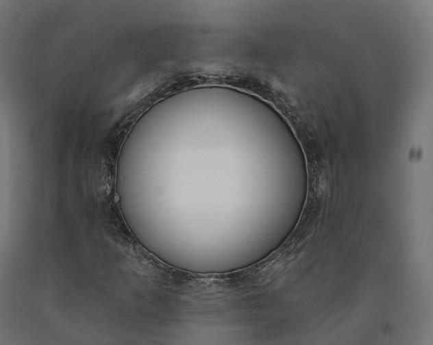 X0000090751253200708031600