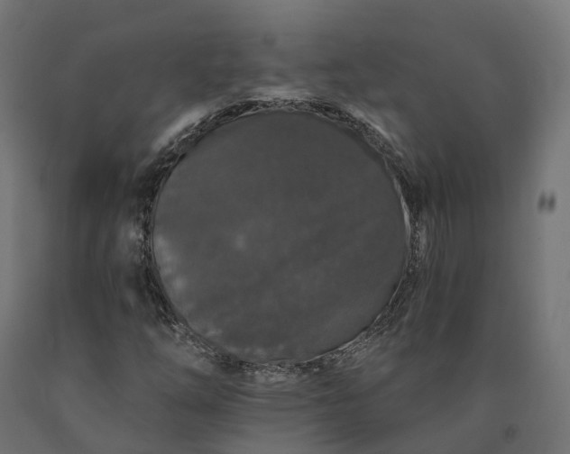 X0000090751254200708031600