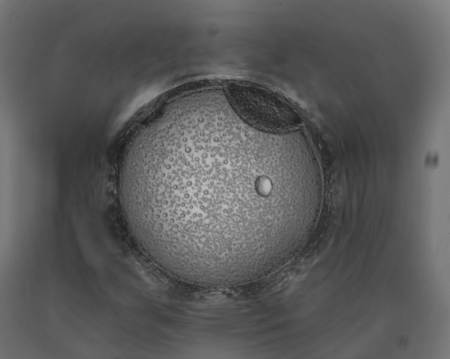 X0000090751255200708031600