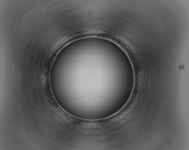 X0000090751257200708031600