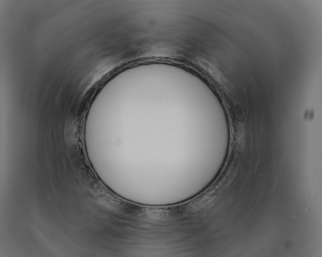 X0000090751258200708031600