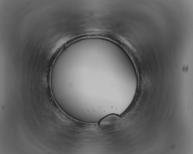 X0000090751259200708031600