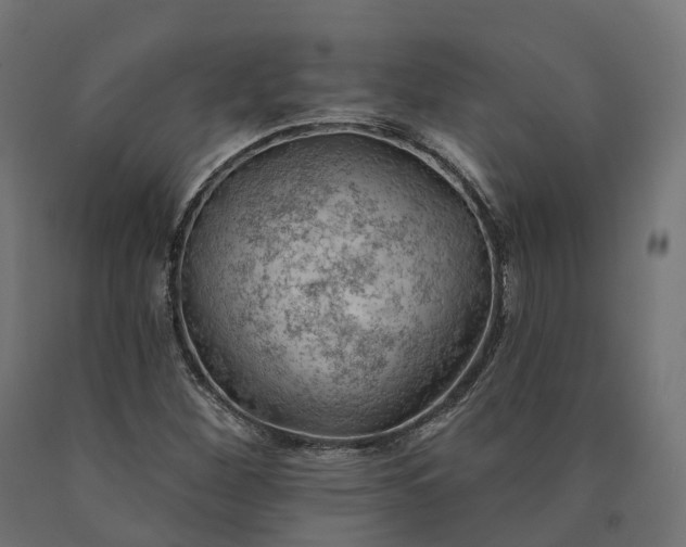 X0000090751260200708031600