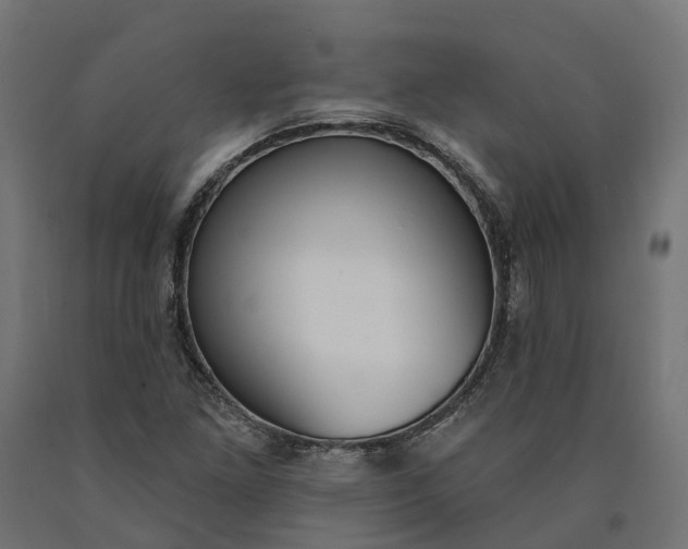 X0000090751261200708031600