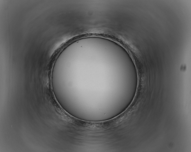 X0000090751262200708031600