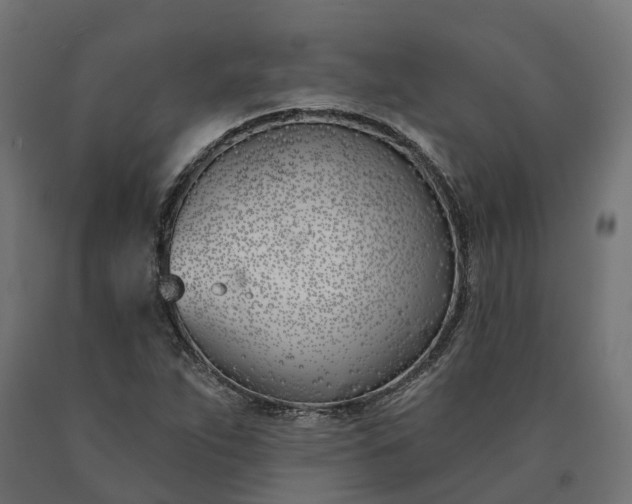 X0000090751263200708031600