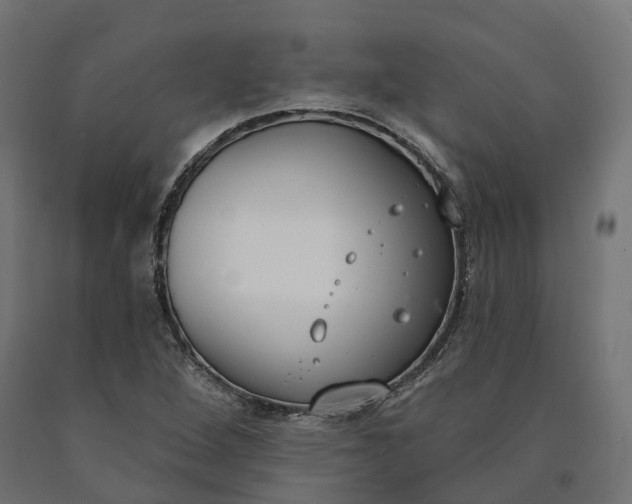 X0000090751264200708031600