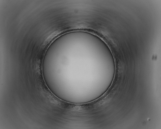 X0000090751265200708031600