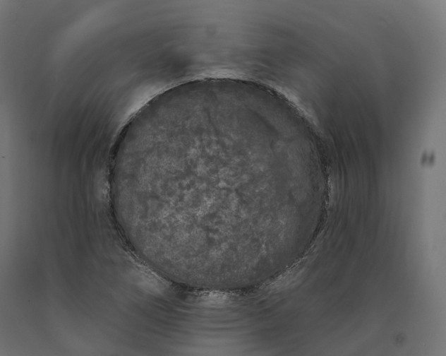 X0000090751266200708031600