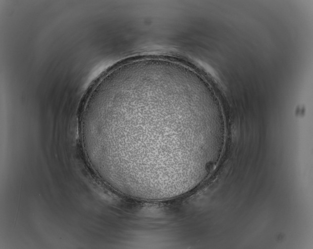 X0000090751267200708031600