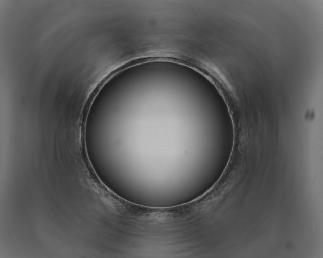 X0000090751268200708031600