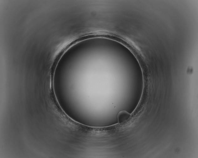 X0000090751269200708031600