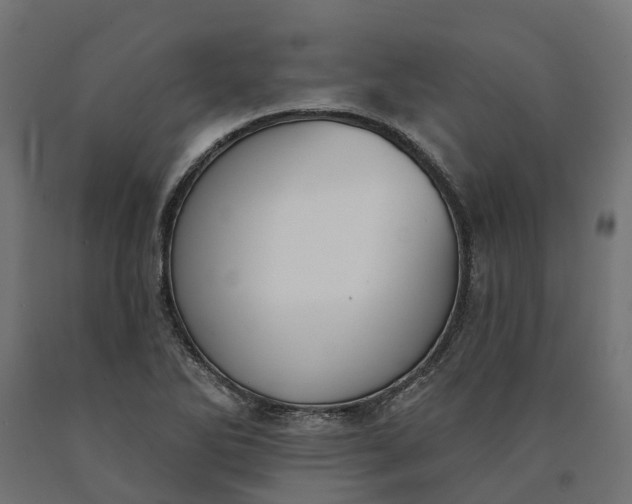 X0000090751270200708031600